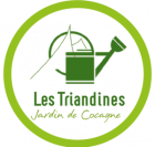 logotriandines_1.png